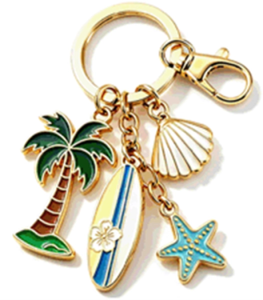 Llavero Metalico con Charms