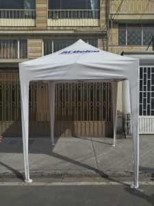 Carpa Estructura Metalica Plegable de 2 x 2 metros