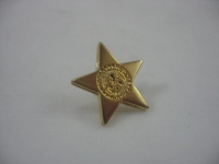 Pin Metalico con logo en bajo relieve