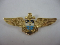 Pin Metalico diseño especial en alto y bajo relieve y con relleno de color