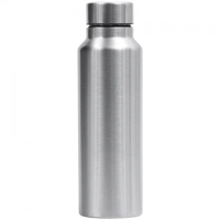 Botella Dinho, de 750 ml., en acero inoxidable con tapa removible, 20.5 x 7.1 cmts