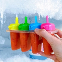 Molde plastico para 4 Paletas, 16 x 11 cmts