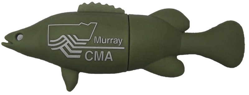 Memoria USB en PVC 2D diseño Pescado