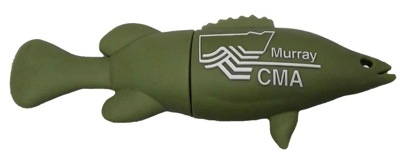 Memoria USB en PVC 2D diseño Pescado