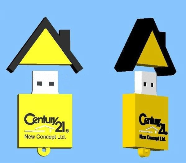 Memoria USB en PVC 2D diseño Casa