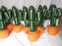Dummy Inflable en forma de Cactus