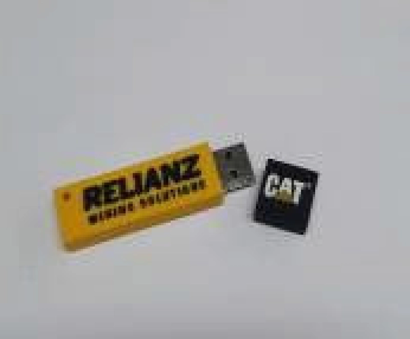 Memoria USB PVC 2D diseño CAT
